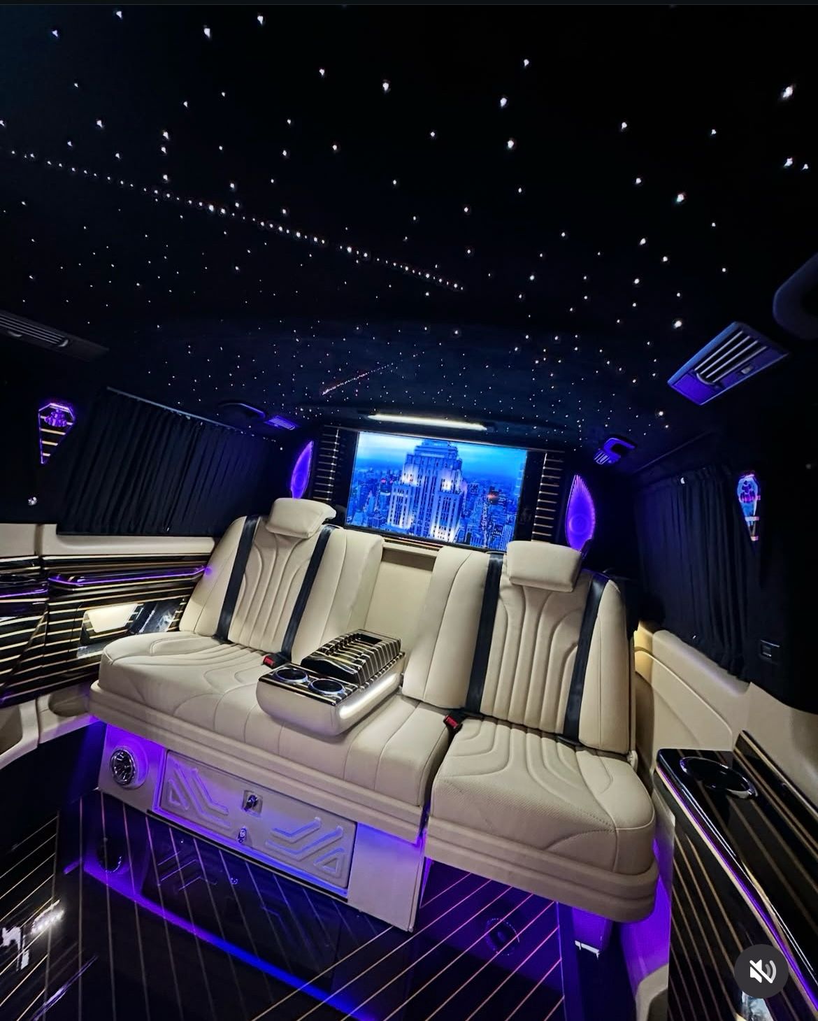 Private Luxury VIP Van