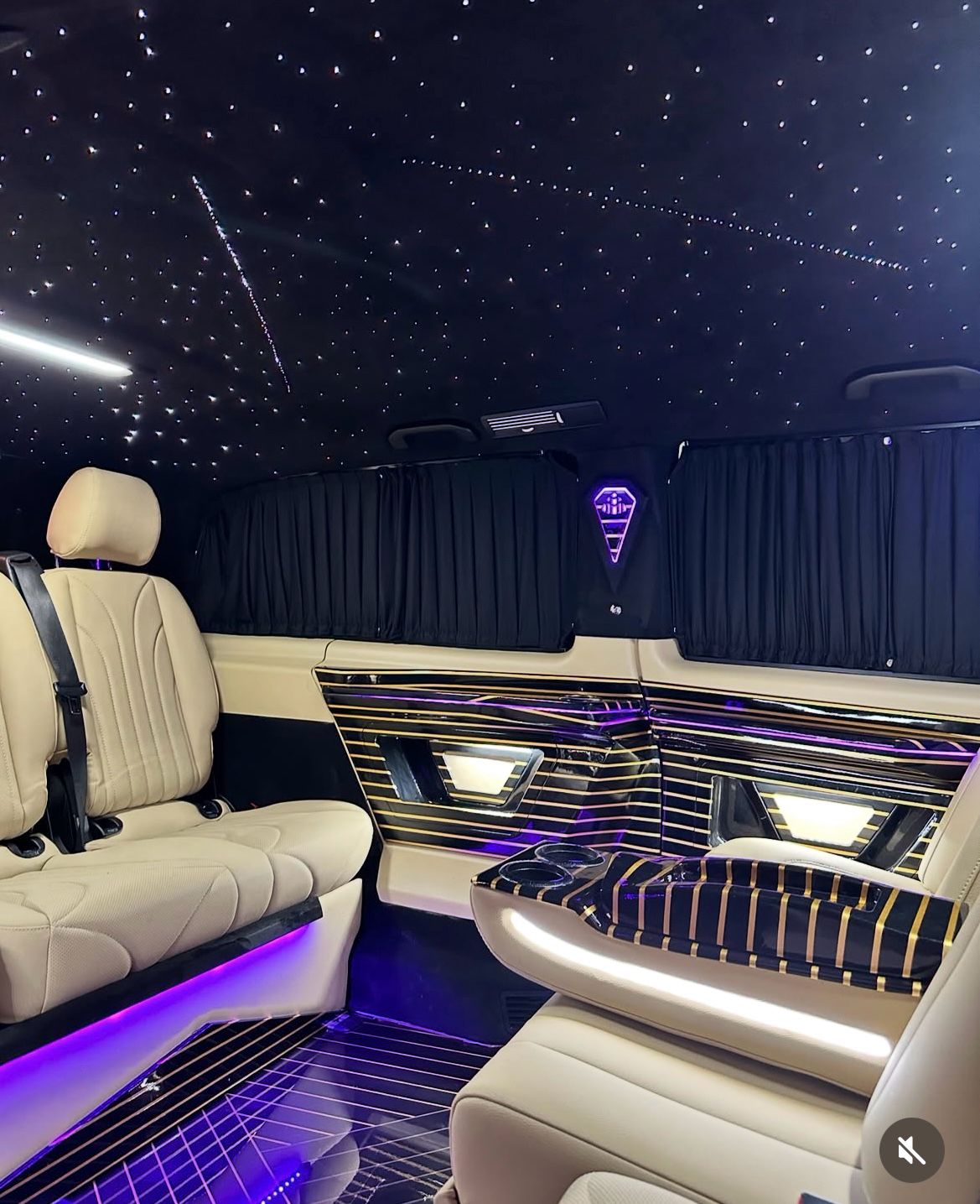 Private Luxury VIP Van